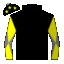 silk