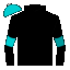 silk