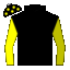 silk