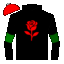 silk